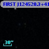 FIRST J124520.3+411600