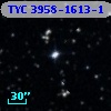 TYC 3958-1613-1