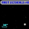 FIRST J125036.1+412603