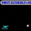 FIRST J125036.7+412602