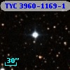 TYC 3960-1169-1