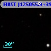 FIRST J125055.9+392614