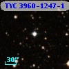 TYC 3960-1247-1