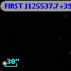 FIRST J125537.7+395559