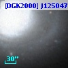 [DGK2000] J125047.73+410633.2