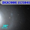 [DGK2000] J125041.17+410746.4
