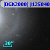 [DGK2000] J125040.15+410651.3