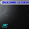 [DGK2000] J125038.02+410620.9