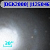 [DGK2000] J125046.14+410813.2