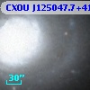 CXOU J125047.7+410707