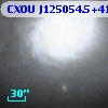 CXOU J125054.5+410636