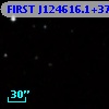 FIRST J124616.1+372053