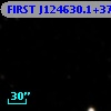 FIRST J124630.1+373205