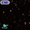 CXOU J205225.8+552741