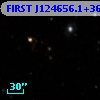 FIRST J124656.1+362052