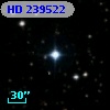 HD 239522
