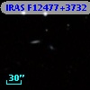 IRAS F12477+3732
