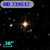 HD 239512
