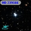 HD 239566