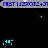 FIRST J125037.2+373638