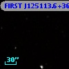 FIRST J125113.6+365823