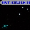 FIRST J125133.0+365535