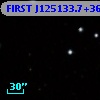 FIRST J125133.7+365543