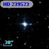 HD 239523