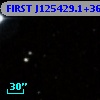 FIRST J125429.1+363845