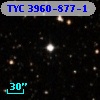 TYC 3960-877-1