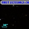 FIRST J125500.3+365844