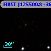 FIRST J125500.8+361811