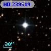 HD 239519