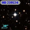 HD 239524