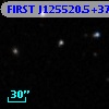FIRST J125520.5+373159
