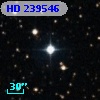 HD 239546
