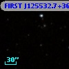 FIRST J125532.7+365756