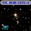 TYC 3630-2125-1