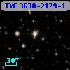 TYC 3630-2129-1