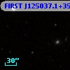 FIRST J125037.1+354245