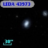 LEDA   43973