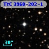 TYC 3960-202-1