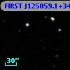 FIRST J125059.1+344441
