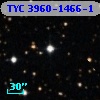 TYC 3960-1466-1