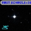 FIRST J124955.1+313654