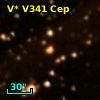 V* V341 Cep