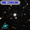HD 239530