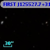 FIRST J125527.7+313333