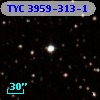 TYC 3959-313-1