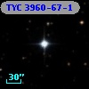 TYC 3960-67-1